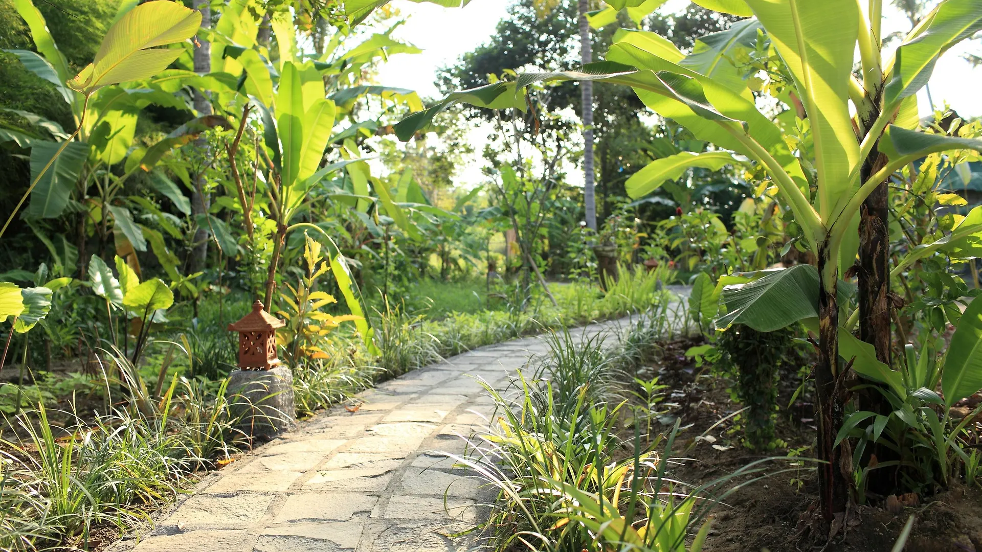 Ubad Retreat Hotel Ubud  3*, Ubud (Bali) Indonesia