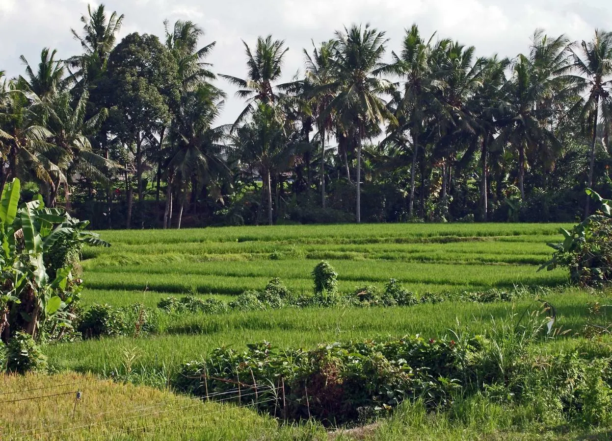 Ubad Retreat Hotel Ubud  Ubud (Bali)