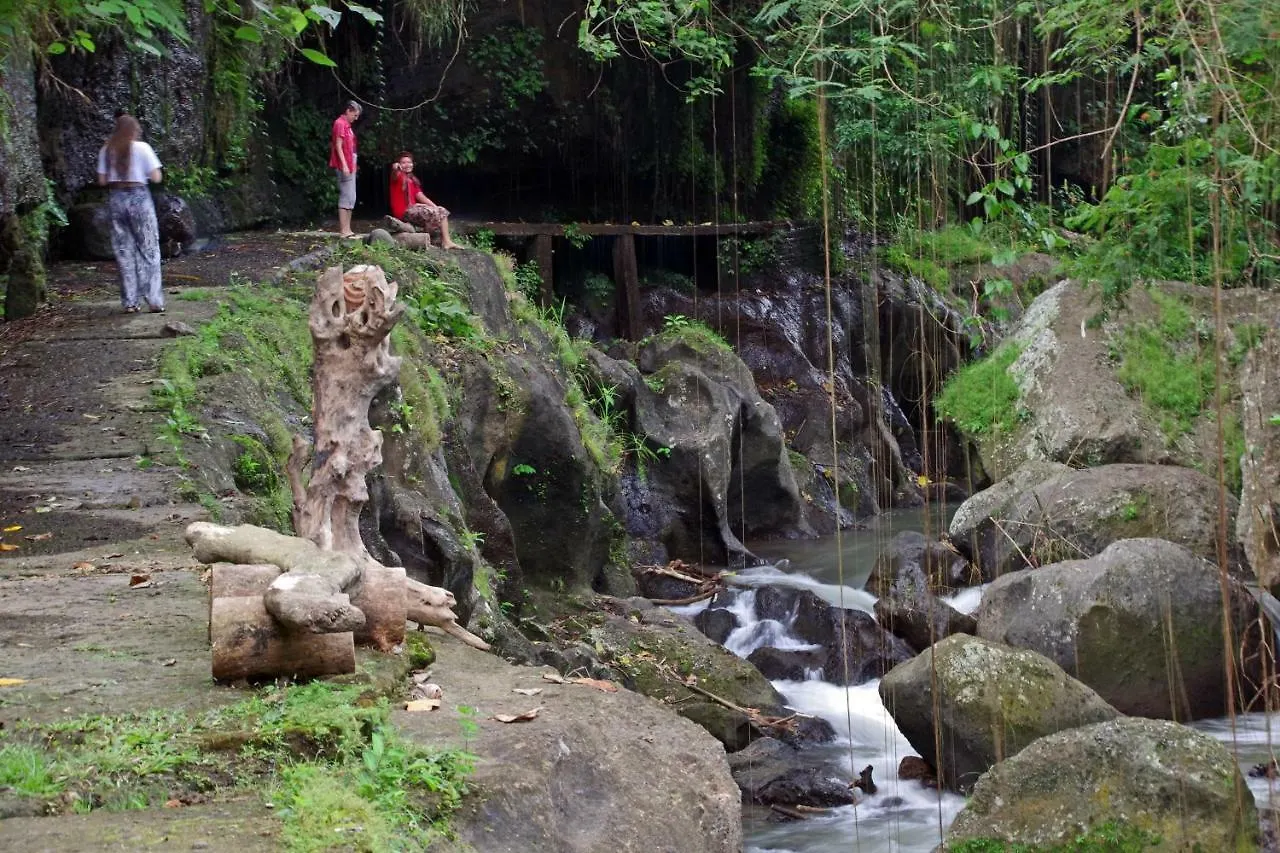 Ubad Retreat Hotel Ubud