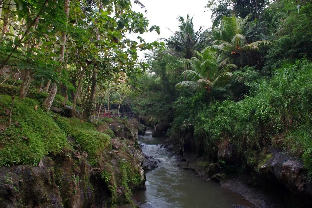 Ubad Retreat Hotel Ubud